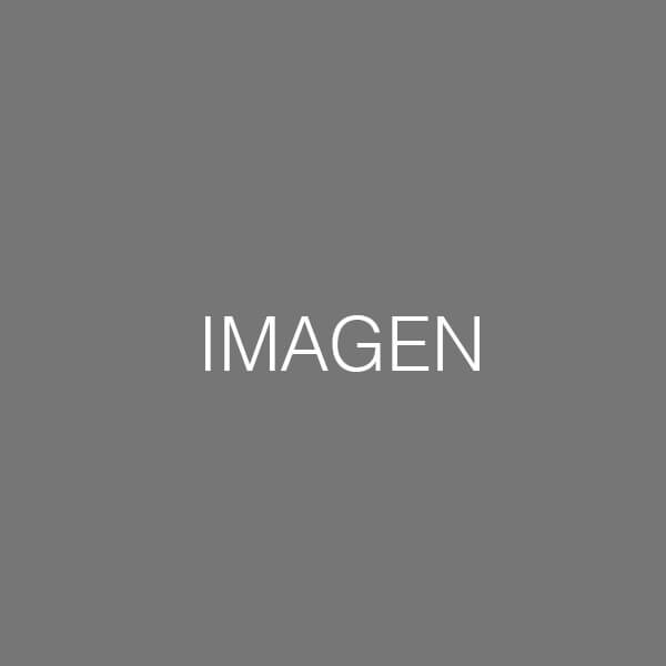 imagen-demo-1