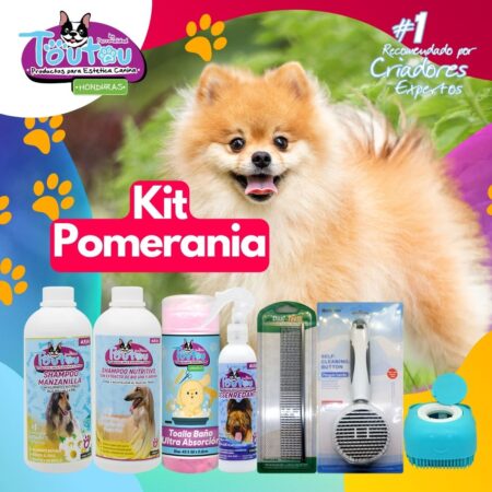 Kit Pomerania