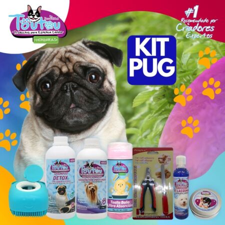 Kit Pug