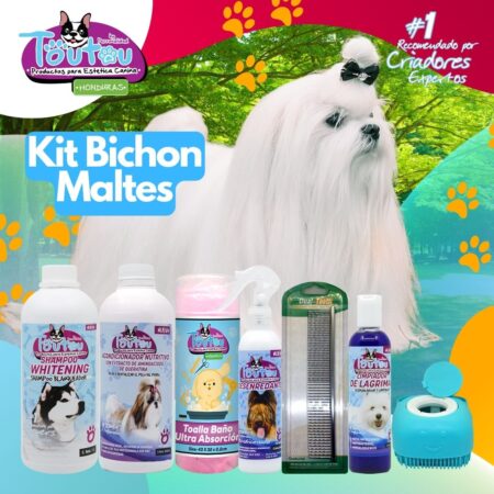 Kit Bichon Maltes