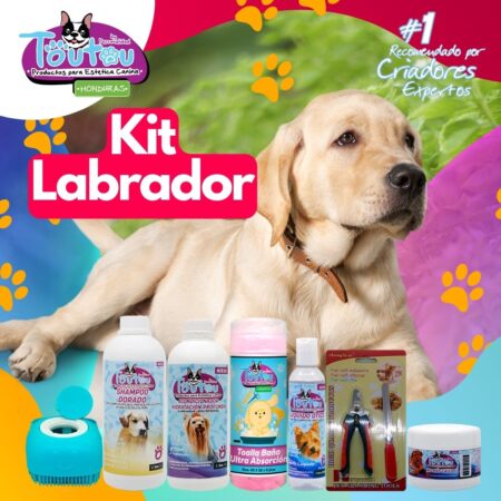 Kit Labrador